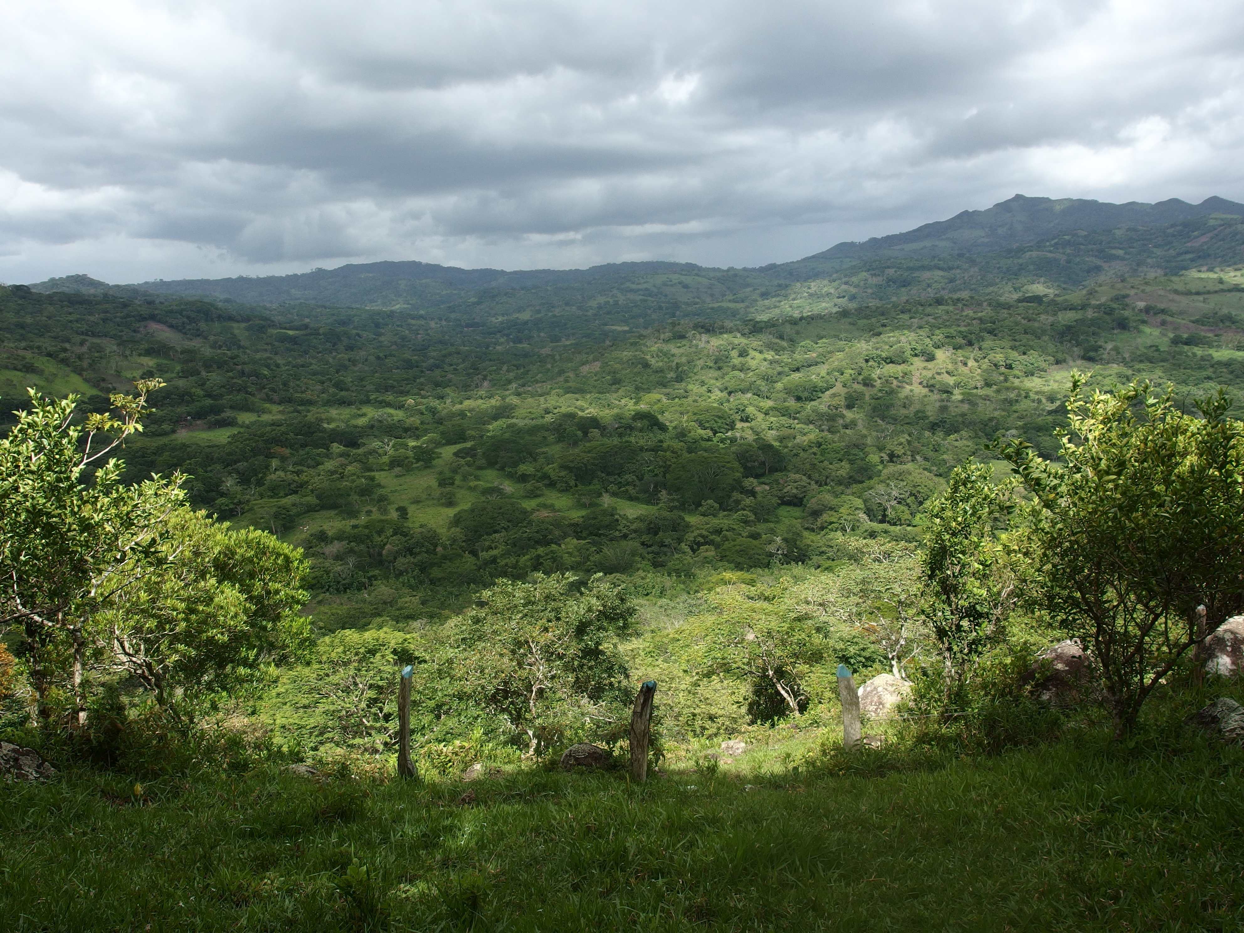 Naturreservat Miraflor, Nicaragua