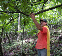 Noir-Schokolade 75% Togo/Nicaragua Kokos-Maracuja (bio),...