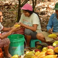 Vollmilchschokolade 56 % Peru (bio), 100 g