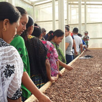Vollmilchschokolade 53% Kakao (bio), 100g
