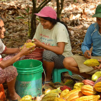 Noir-Schokolade 70% Peru (bio), 100g