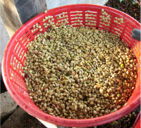 Honduras Kaffee entkoffeiniert (bio), 250g, gemahlen